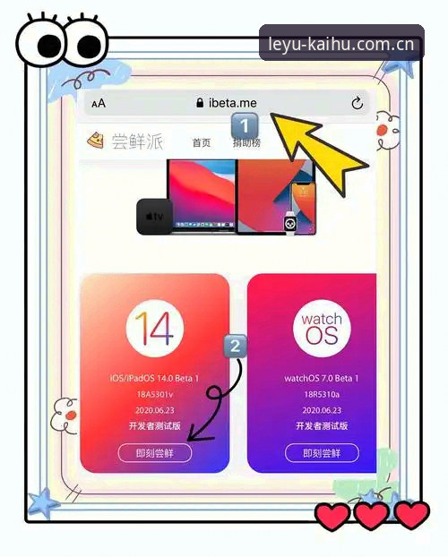 乐鱼体育iOS版安装使用教程：从下载到流畅体验的技术评测